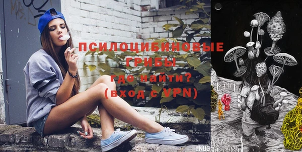 дмт Верея